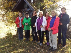 nordic-walking